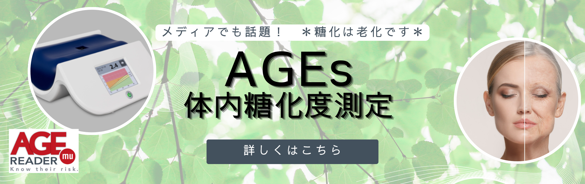 AGEs 体内糖化度検査